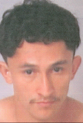 Photo of offender