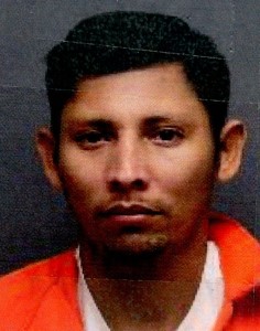 Photo of offender